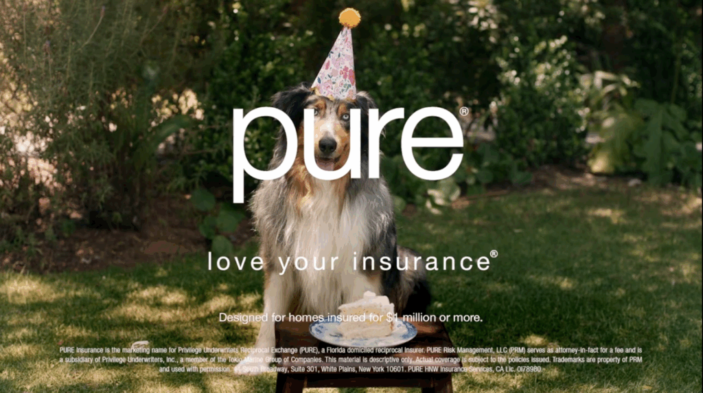 A dog wearing a party hat sits outdoors with a cake, overlaid with the text “pure. love your insurance.” and fine print about insurance for homes insured for $1 million or more—perfect for your next viral campaign.